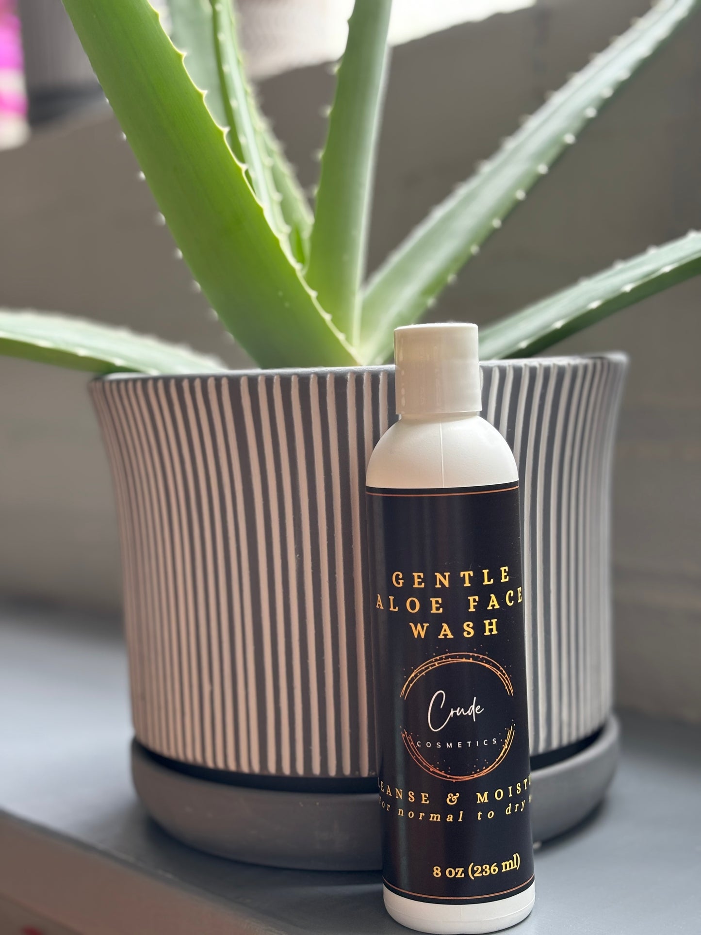 Gentle Aloe Face Wash
